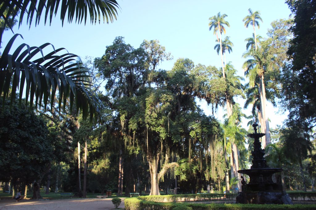 O Chafariz das Musas e algumas da palmeiras-imperiais / Foto: Carla Lencastre