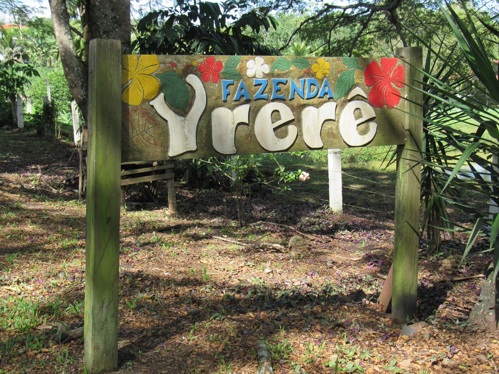 Yrere 1